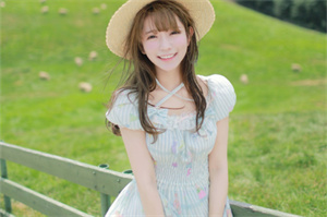 上海的素食美食之旅 上海的素食美食之旅